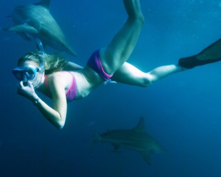 Девушка акула