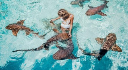 Багамы поплавать с акулами