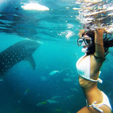 Сноркелинг Филиппины