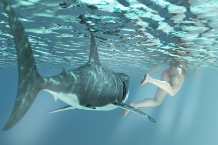 Акула на мелководье