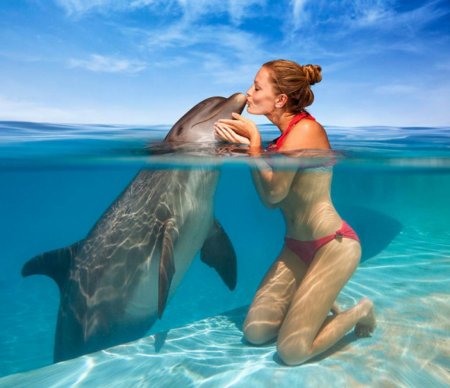 Дельфины и люди