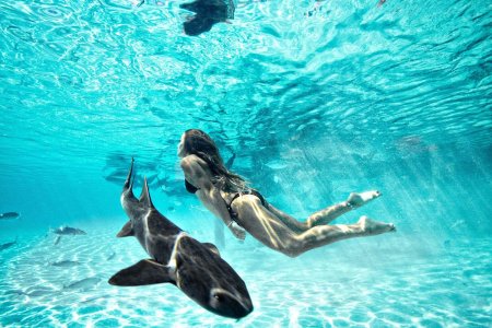 Акулы няньки на Мальдивах