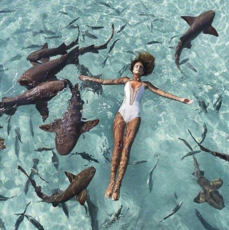 Багамы поплавать с акулами