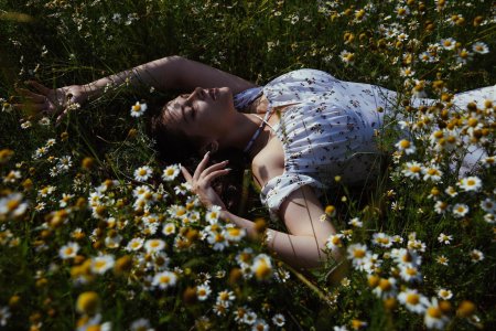 Поле ромашек