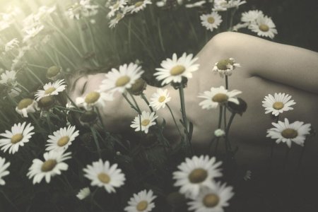 Девушка лежит в ромашках