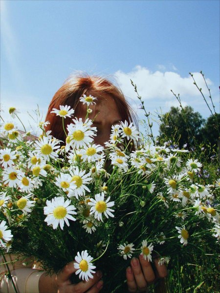 Девушка с ромашками