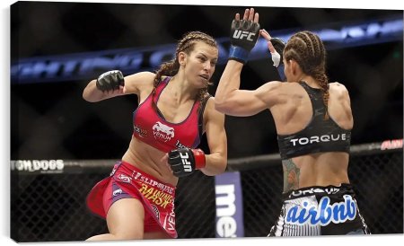 Джоджуа боец юфс