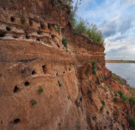 Река Клязьма обрывистый берег