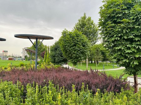 Парк галицкого