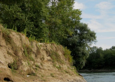 Крутой обрывистый берег реки озера склон оврага