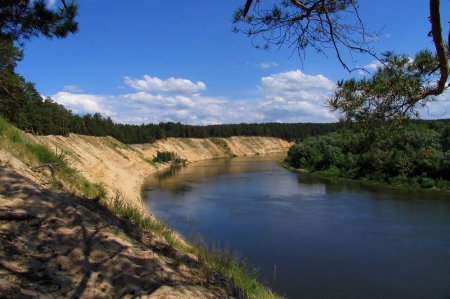 Река Икорец Воронежская область