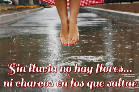 Женские ноги в луже