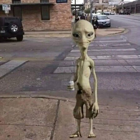 Инопланетянин пол секретный материальчик