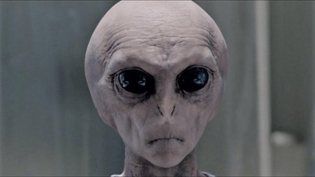 Серые инопланетяне фото