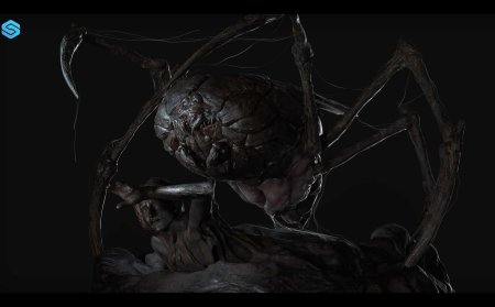 Паук краб арахнид