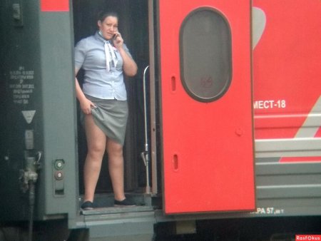 Толстая проводница