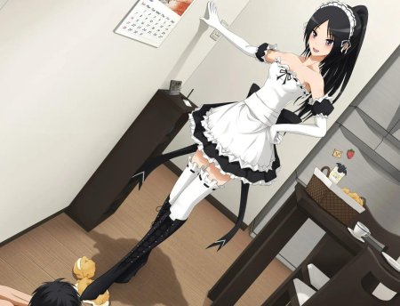 Горничная в чулках