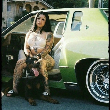 Тейлор Вайт