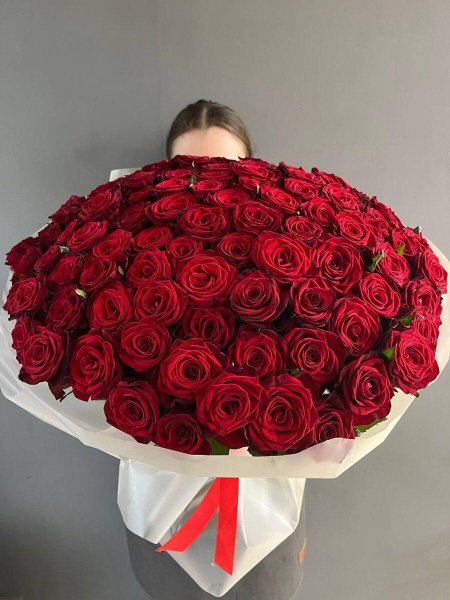 Роза красная