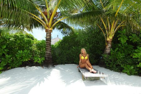 Шезлонг под пальмой