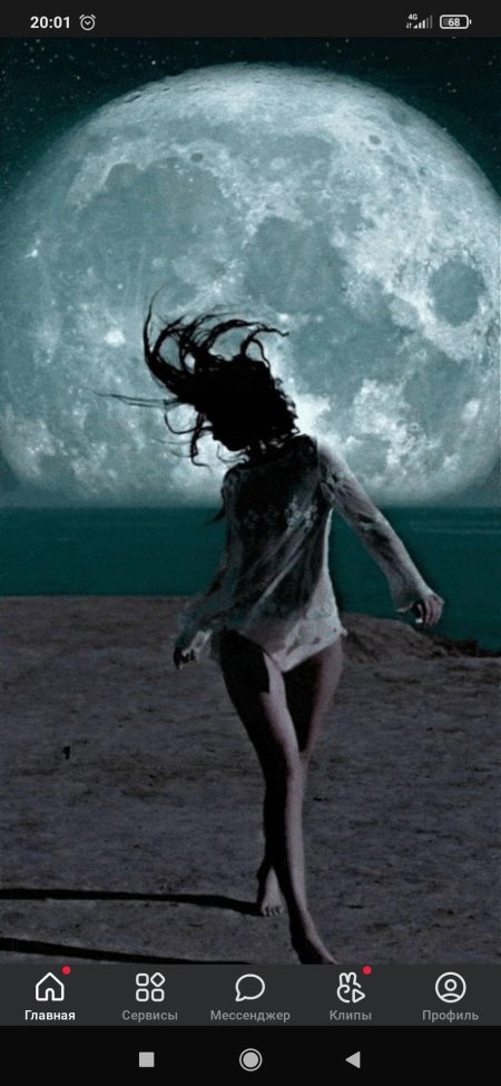 Джоанна Лебовиц Зловещая Луна