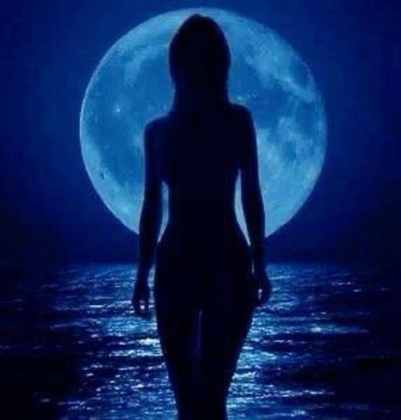 Женский силуэт