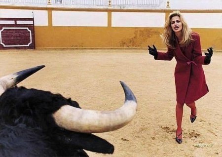 Женщина бык