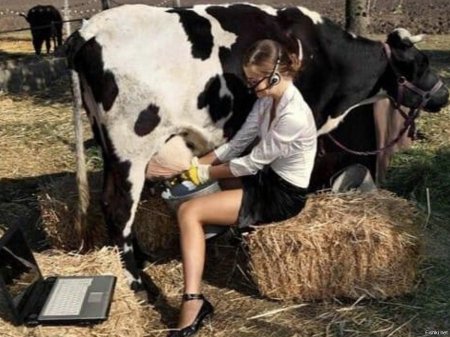 Доярка с коровой