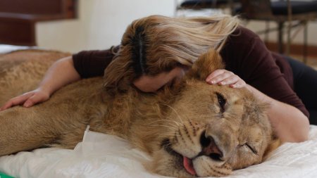 Девушка с львенком