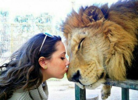 Фотосессия со львом