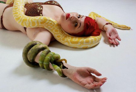 Змея обвивает руку