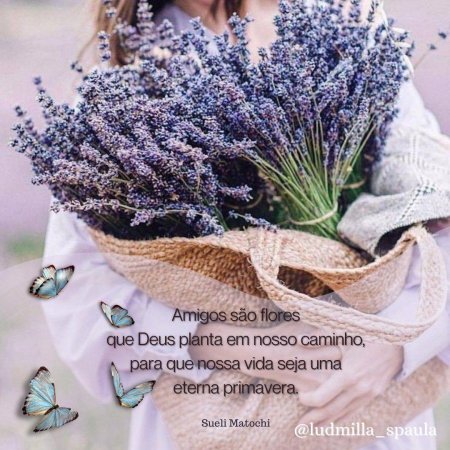 Лаванда и розмарин