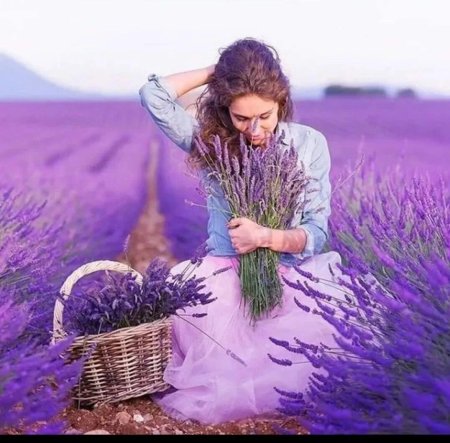 Девушка с лавандой