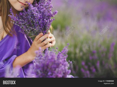 Девушка с лавандой