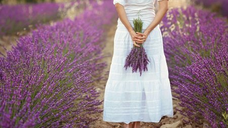 Фотосессия в лавандовом поле