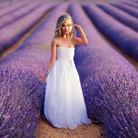 Анастасия морева лавандовое поле