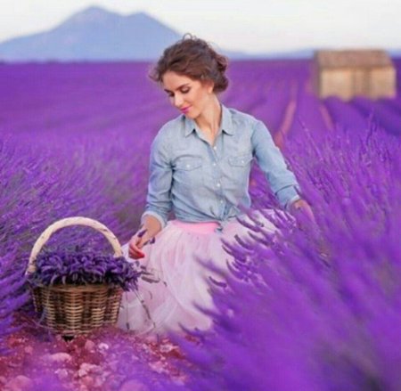 Лаванда Шерон Робертс