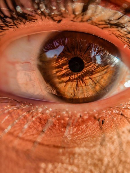 Коричневые глаза