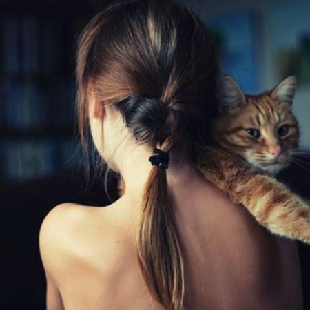 Девушка кошка