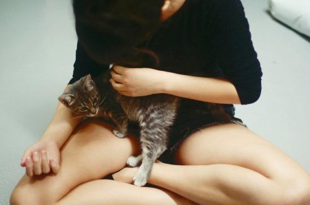 Девушка с котом