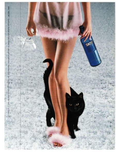 Кошка у ног девушки