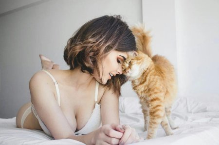 Красивая девушка с котом