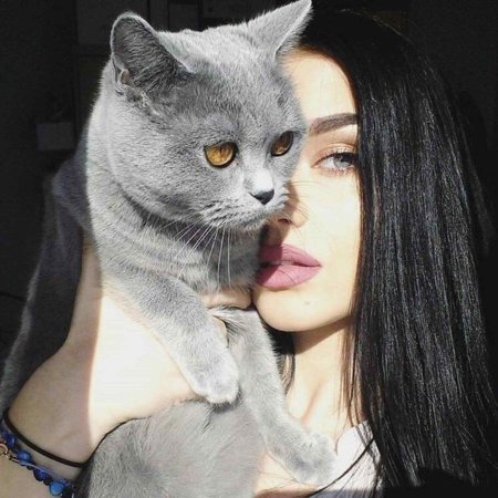 Девушка с британским котом