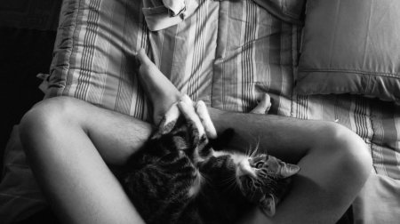 Девушка с котиком в кровати