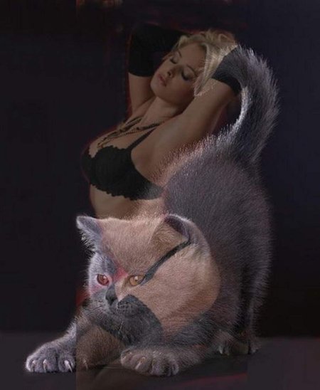 Женщина с кошкой