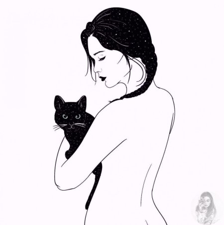 Кошка рисунок