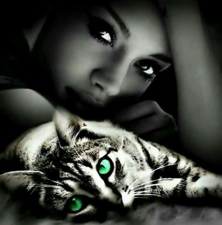 Красивая девушка с кошкой