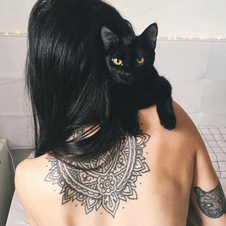 Тату черная кошка
