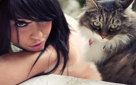 Девушка кошечка