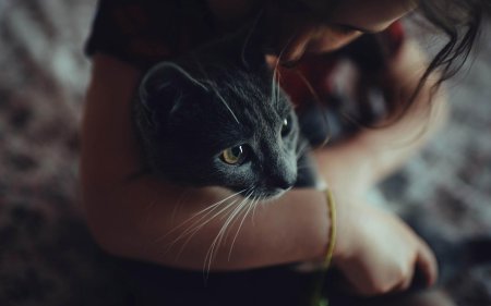 Девушка с котиком